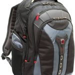 Plecak na laptopa Wenger Pegasus 600639, 43,9 cm (17,3") , (S x W x G) 34 x 47 x 25.4 cm, szary